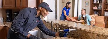 Best Pest Control for Multi-Family Homes  in Midway South, TX